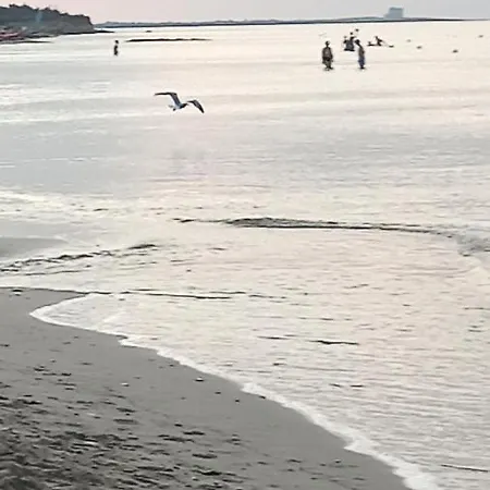 Salento Oggi