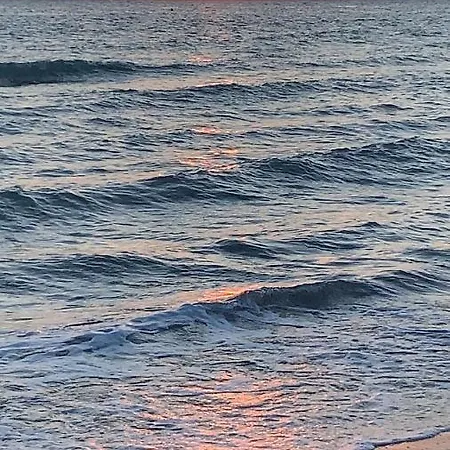 شقة Salento Oggi برينديسي